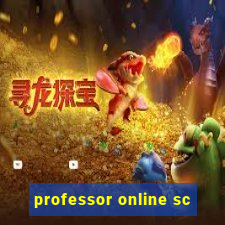 professor online sc